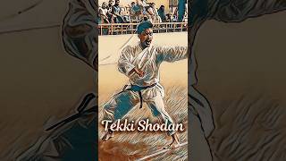 Tekki Shodan [upl. by Akire]