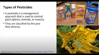 Intro To Agriculture Pesticides And Herbicides [upl. by Liban]