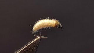 Fly Tying Wax worm Maggot  Yarn Dubbing Pattern [upl. by Haslam]