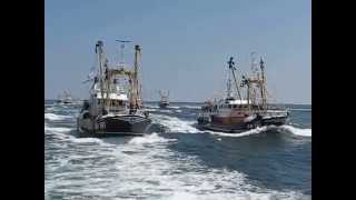 Brixham Trawler Race 2014  the finish [upl. by Calloway728]