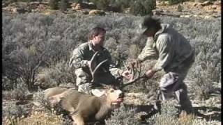 Huge Jicarilla Mule deer Aaron Howells 261 nontypical mule deer [upl. by Asilehs]