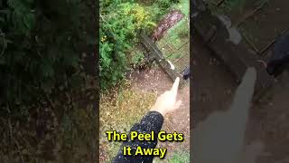 Ripping the 25cc SAW chainsaw [upl. by Merill847]