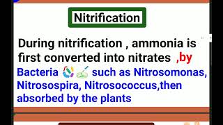 Ammonificationnitrificationdenitrification  अमोनिफिकेशन scholarlystars [upl. by Pedaias664]