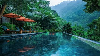 Tropical Swimming Pool Ambience with Forest View  Nature Sound and Birdsong For Relaxing Healing [upl. by Aurelie]