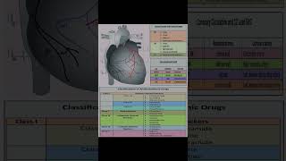 What are the 4 classes of antiarrhythmic drugs [upl. by Ylra]