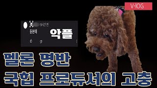 악플을 받았습니다 feat 국힙 힙합프로듀서의 앨범준비 [upl. by Acceb70]