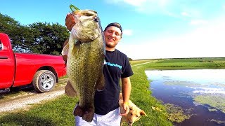 Catching GIANT Bass on Topwater Frogs [upl. by Godric281]