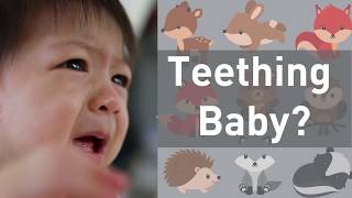 Do Teething Babies Need Medicine on Their Gums No [upl. by Sherline388]