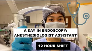 A day as an Anesthesiologist Assistant in EndoscopyGI [upl. by Ataymik]