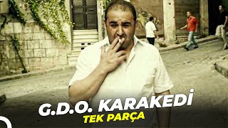 GDO Karakedi  Şafak Sezer Eski Türk Filmi Full İzle [upl. by Karylin]