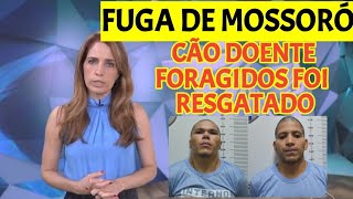 FUGA EM MOSSORÓ JA FOI RESGATADO CÃO FICOU DOENTE [upl. by Cini]