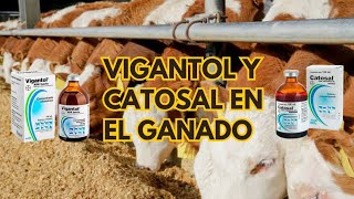 Vitaminas para mejorar la producción en el ganado 🐂🐑🌱🤠 [upl. by Yggep167]