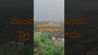 youtubeshorts agriculturalsystem agriculturefarmarraju [upl. by Enninaej]