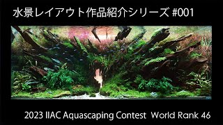 【水景作品紹介】アクア仲間の水景作品を紹介していくシリーズ 第1段  IIAC 2023 World Rank 46位作品 [upl. by Nellad]