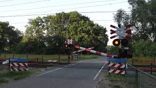 Spoorwegovergang Windesheim  Dutch Railroad Crossing [upl. by Cis]