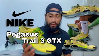 Detailed Performance review Nike Pegasus Trail 3 GTX  Smelly feet silhouettes [upl. by Renaldo74]