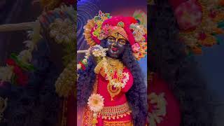 Shyam Teri Bansi ❤️  Most Beautiful Krishna Bhajan  New Krishna Devotional Song shorts [upl. by Latrice]