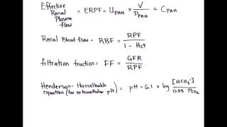 Effective Renal Plasma Flow Renal blood flow Filtration fraction amp Henderson Hasselbalch Equation [upl. by Aiyot561]