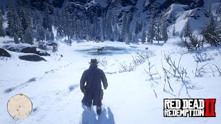 I tried to lure Western Bull Moose  Red Dead Redemption 2 [upl. by Venola]