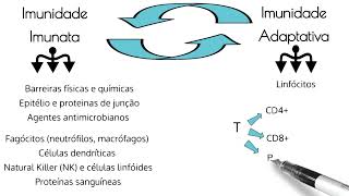 Imunidade Inata e Imunidade Adaptativa Imuno em até 10 minutos [upl. by Aitercal]
