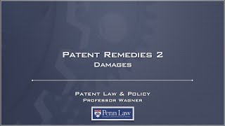 Lecture 24  Patent Remedies 2 [upl. by Kcinomod]