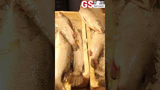 কেমন যাচ্ছে মাছের বাজার মাছের বাজার  GS News BD [upl. by Centeno]