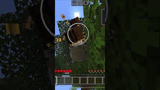 I accidentally break the bee hive 🐝 minecraft memes minecraftmemes short shorts [upl. by Carlile314]