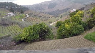 The Quinta da Avessada Wine Estate amp the most Scenic Douro Road [upl. by Maxama]