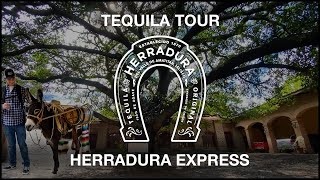 Tequila Herradura Express  Distillery amp Tasting Tour In Guadalajara Mexico [upl. by Omar]