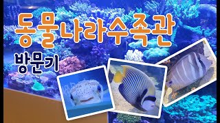 동물나라 수족관 방문기  다양한 산호와 해수어 둘러보기 aquarium [upl. by Ayerdna]