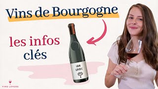 Vins de Bourgogne  lessentiel à savoir pour mieux comprendre ce vignoble [upl. by Gally194]