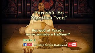 Parashá Bo significa “ven” Parte 1 [upl. by Araht166]