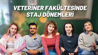 Veteriner Fakültesinde Staj Dönemleri [upl. by Fulton]