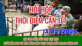 Giá heo hơi ngày 3122024  HỒI HỘP GIÁ THỊT HEO CẬN TẾTCAO ĐIỂM TIÊU THỤ [upl. by Kieryt]