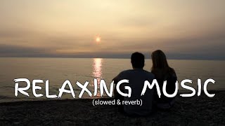 Relaxing music Lyrics  New song 2024 New English song  Best song english [upl. by Kcirad]