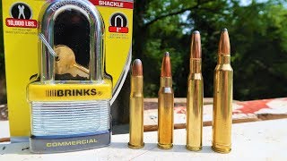 Padlock vs 3030 vs 308 vs 3006 vs 300 win mag [upl. by Astto17]