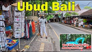 Ubud Walking Tour How Is This Area In Ubud Bali Now [upl. by Aronek]