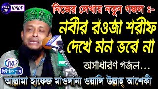 নতুন গজল  নবীর রওজা শরীফ দেখে মন ভরে না  অলি উল্লাহ আশেকী  Music Plus Waz [upl. by Mailiw]