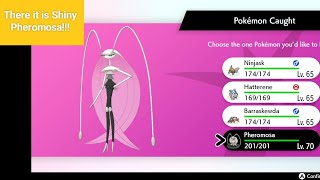 Shiny Pheromosa is Here [upl. by Declan]