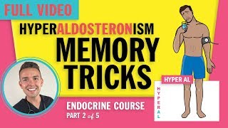 Endocrine  Hyperaldosteronism for NCLEX [upl. by Daggett]