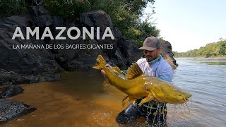 Mañana de pesca de Bagres gigantes Monstruos de río Jaú en Alto Trombetas  Amazonia [upl. by Schurman]