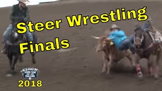 Steer Wrestling Finals Cinch Spring Thaw 2018 Full Version [upl. by Mashe589]