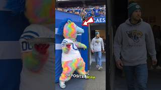 This mascots Slam pie on opposite team fans  You should stay safe 😱🤣 shorts ytshorts respect [upl. by Yrokcaz]