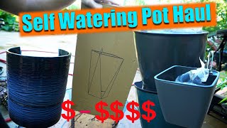 Self Watering Pots From Amazon  Amazon Haul [upl. by Mikiso258]