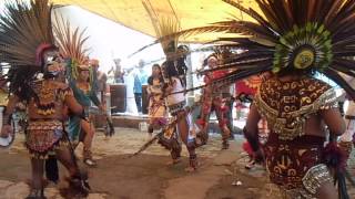 DANZA AZTECA [upl. by Brahear101]