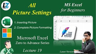 19 Complete Picture Settings in MS Excel  Free Course for Beginners in Urdu Hindi excel teacher [upl. by Mochun]