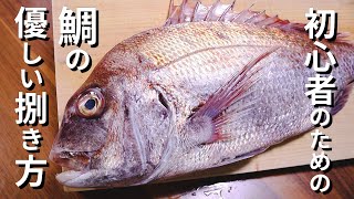 鯛のさばき方～初心者でもこれを見れば完璧になる三枚おろし【刺身】 [upl. by Naehs]