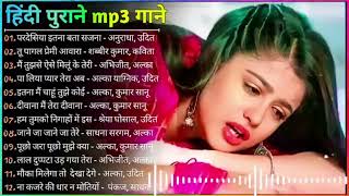 Hindi Gana🌹Sadabahar Song 💖हिंदी गाने 💔Purane Gane Mp3 💕Filmi Gaane अल्का याग्निक कुमार सानू गीत [upl. by Aciria]