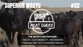 The Wagyu Advantage Health Sustainability and Raising Premium Beef with Superior Wagyu [upl. by Becca]