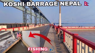 KOSHI BARRAGE NEPAL 🇳🇵 FISHING 🎣  video koshibarrage  SKOfficial03 [upl. by Gerbold]